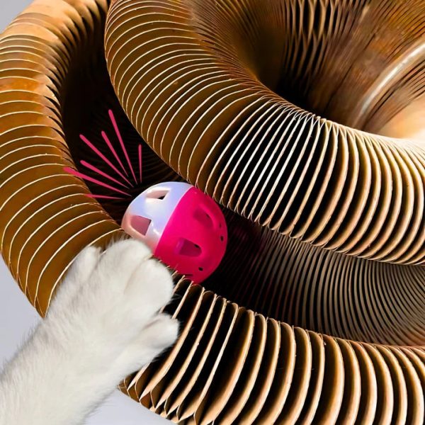 Cat Cordion - Image 4