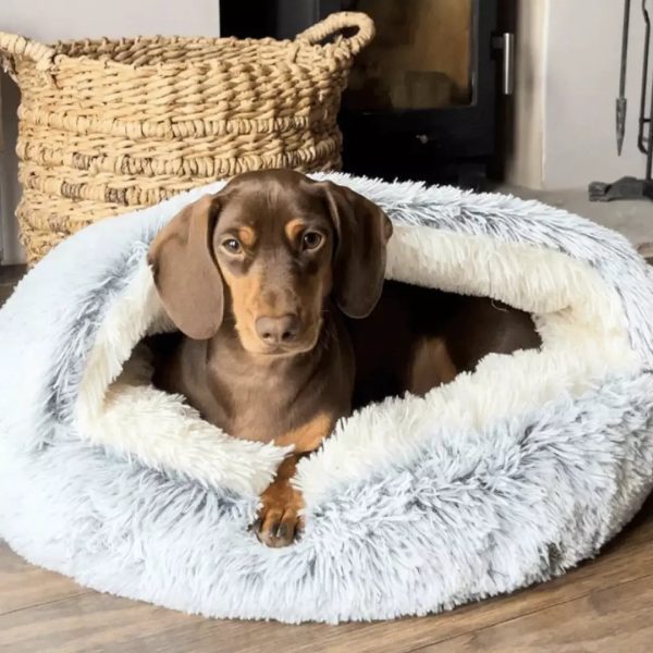 Cozycave Premium Pet Bed - Image 4