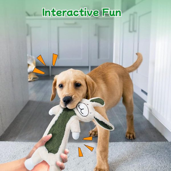 2 Pack No Stuffing Crinkle Dog Toys - Image 4
