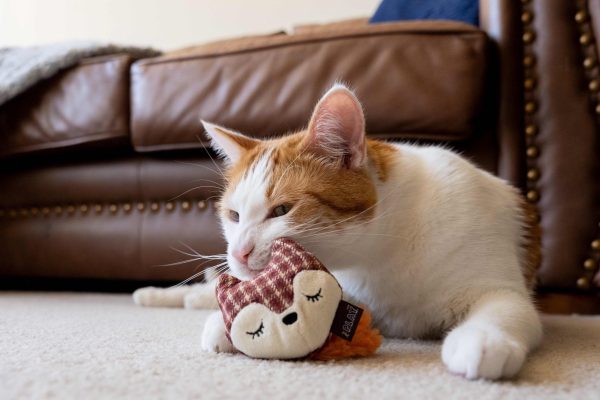 Feline Frenzy Foxsy & Hopsy Toy Set - Image 2