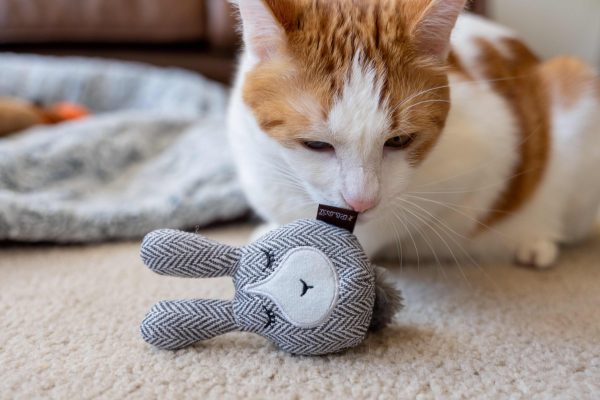 Feline Frenzy Foxsy & Hopsy Toy Set - Image 4