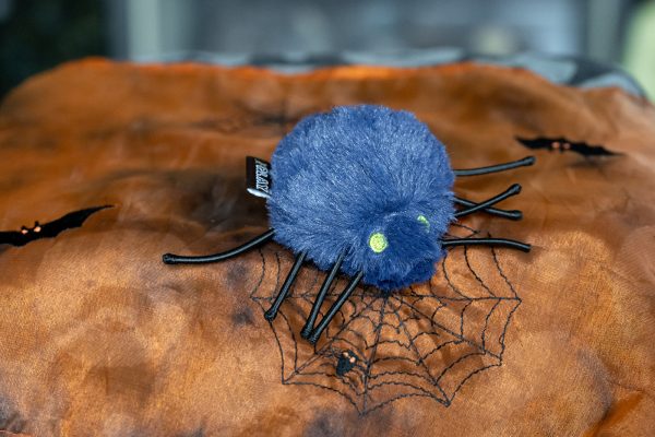 Feline Frenzy Creepy Critters Toy Set - Image 4