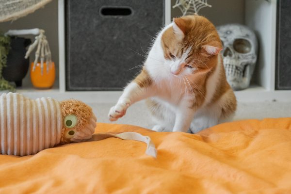 Feline Frenzy Meow-my Kicker Toy - Image 6