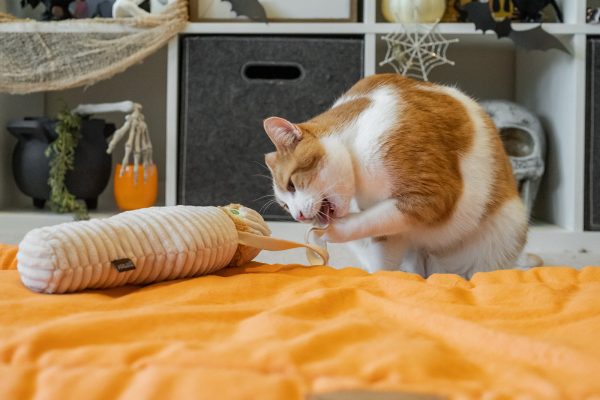 Feline Frenzy Meow-my Kicker Toy - Image 7