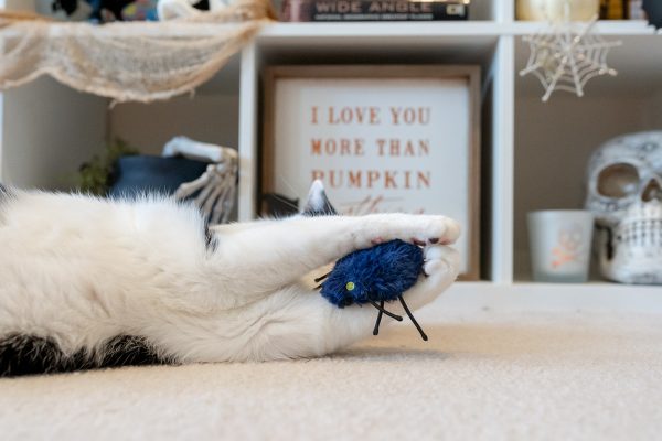 Feline Frenzy Creepy Critters Toy Set - Image 5