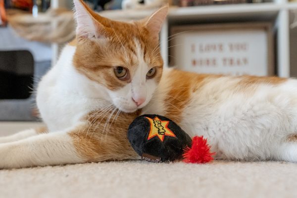 Feline Frenzy Kitty-Boom Toy Set - Image 3