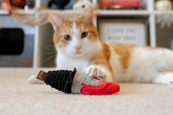 Feline Frenzy Deadly Duo Toy Set - Image 3
