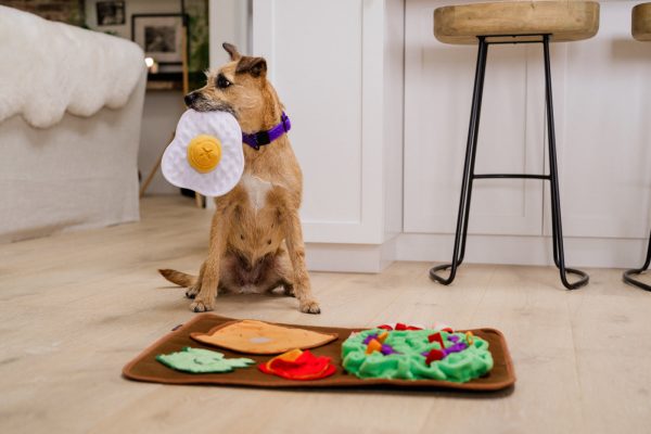 Savory Sunrise Snuffle Mat - Image 5
