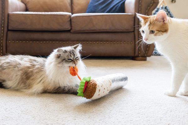 Feline Frenzy Shrimp Purrito Kicker Toy - Image 4