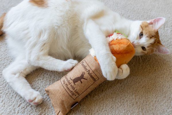 Feline Frenzy Tuna Baguette Kicker Toy - Image 2