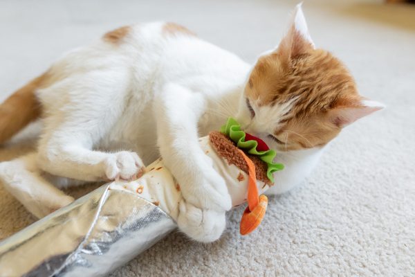 Feline Frenzy Shrimp Purrito Kicker Toy - Image 2