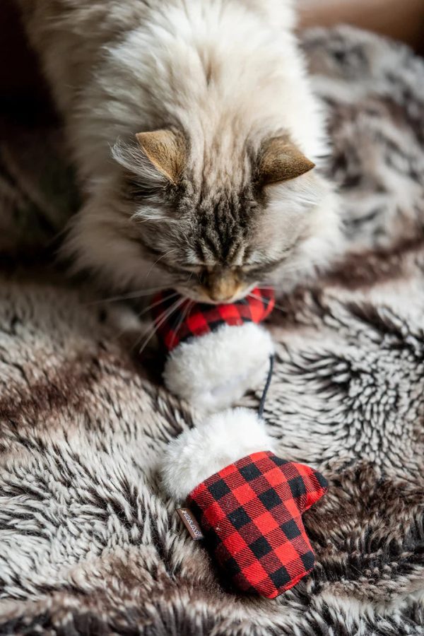 Feline Frenzy Kitten Mittens Toy Set - Image 4