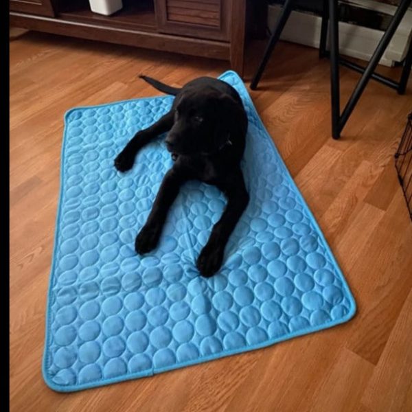 Cooling Mat for Dogs - Image 15