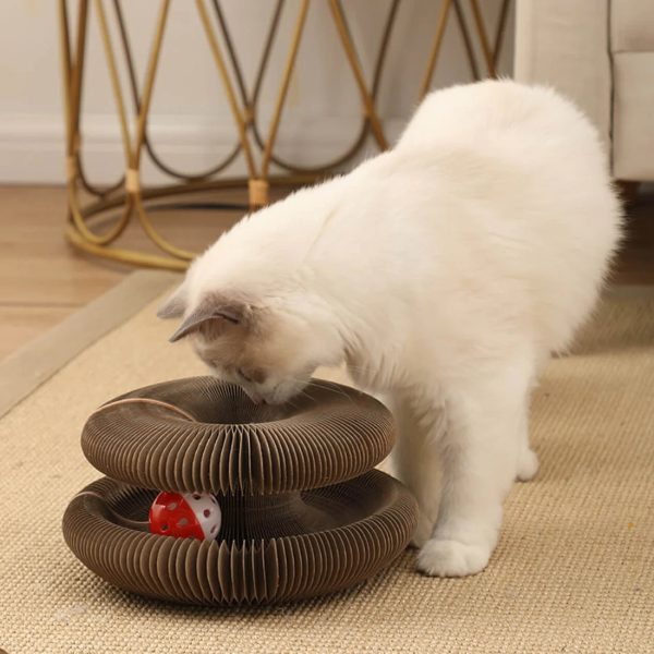 Cat Cordion - Image 3