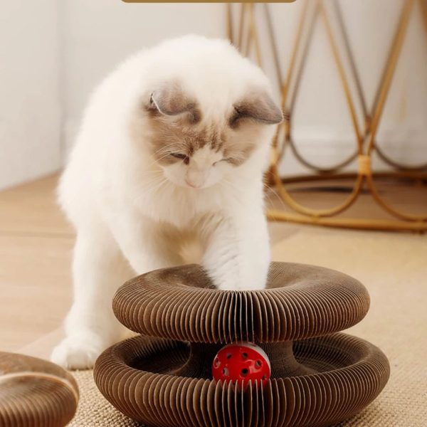 Cat Cordion - Image 7
