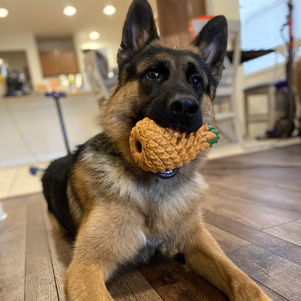Pineapple Dog Chew Toys With Treat Fill for Aggressive Chewer - Image 6