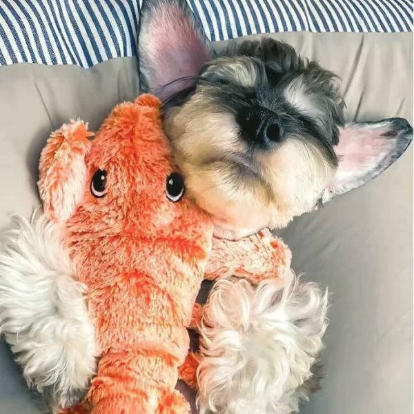 Floppy Lobster Interactive Dog Toy - Image 12