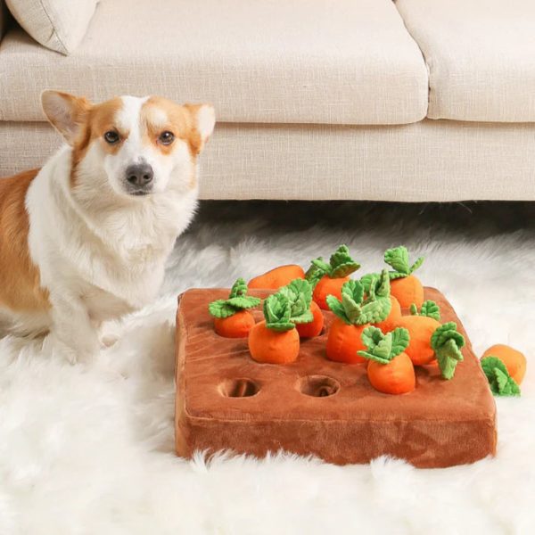 Carrot Garden - Dog Puzzle Toys - Image 7