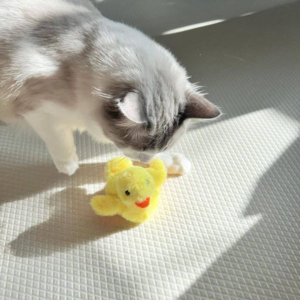 Flapping Duck Cat Toys - Image 4