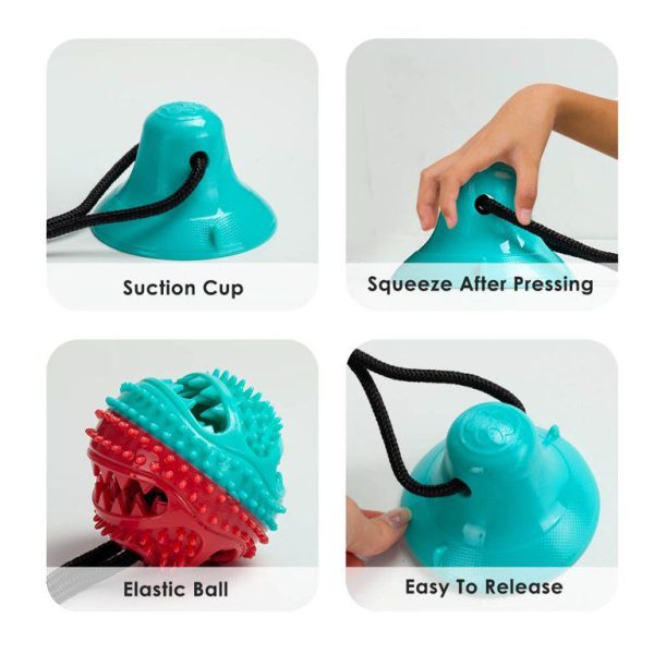 Suction Cup Dog Toys - Image 7