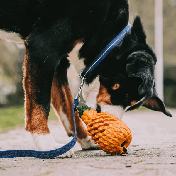 Pineapple Dog Chew Toys With Treat Fill for Aggressive Chewer - Image 5