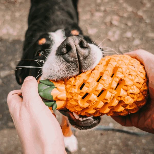 Pineapple Dog Chew Toys With Treat Fill for Aggressive Chewer - Image 3