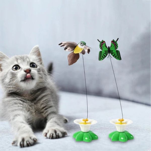 Electric Bird Teasing Cat Toys - Image 10