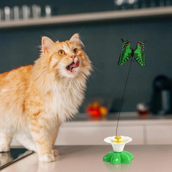 Electric Bird Teasing Cat Toys - Image 5