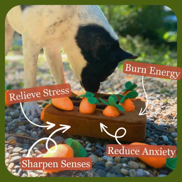 Carrot Garden - Dog Puzzle Toys - Image 4
