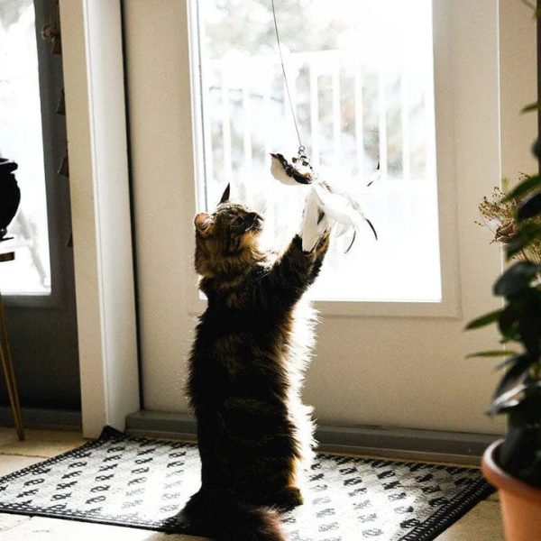 Interactive Bird Simulation Cat Toy Set - Image 8