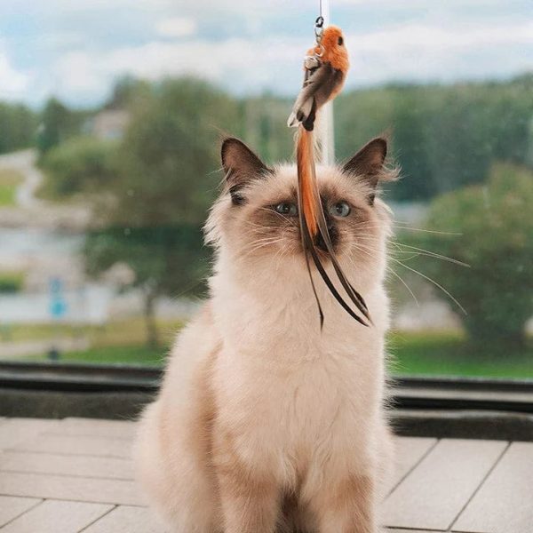 Interactive Bird Simulation Cat Toy Set - Image 9