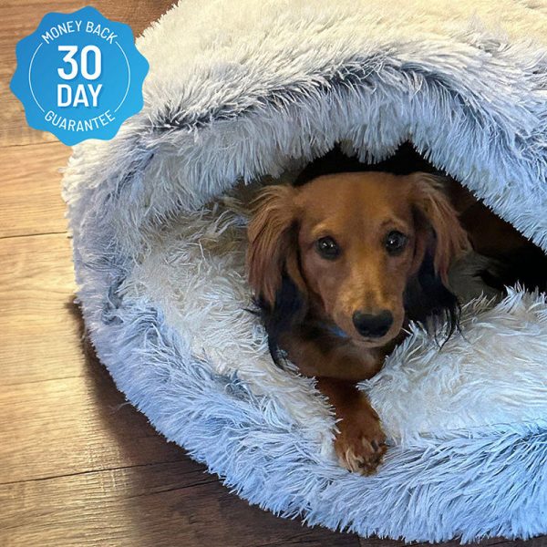 Cozycave Premium Pet Bed - Image 3