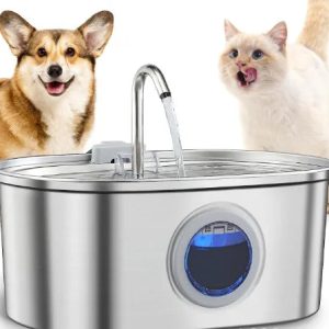 Pet Water Fountain