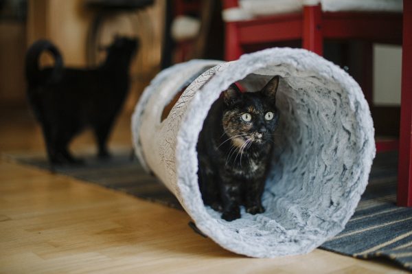 Purr & Pounce Cat Tunnel - Image 4