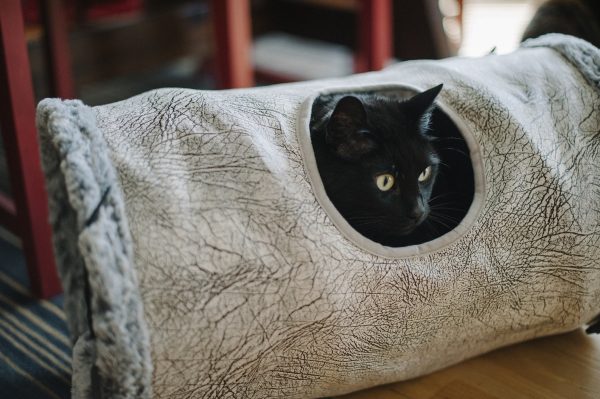 Purr & Pounce Cat Tunnel - Image 3