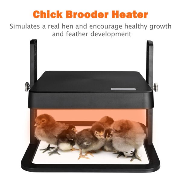 10 x 10 Chick Heating Plate - Image 2