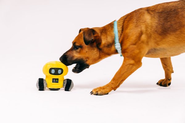 Alien Buddies Robo-Rover - Image 5