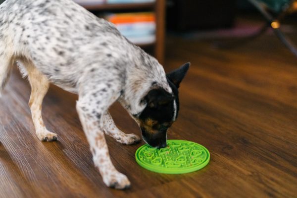 ZoomieRex EverLick Mat - Image 6