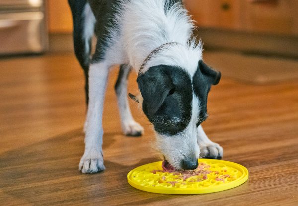 ZoomieRex EverLick Mat - Image 9